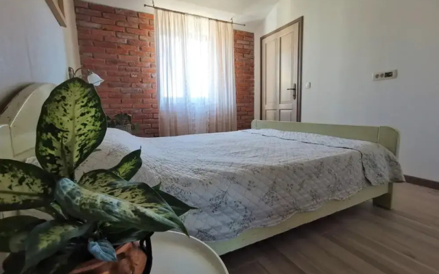 Apartments Balatura