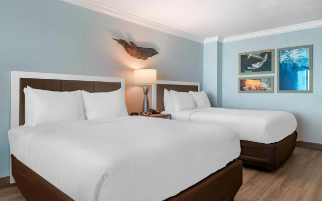 Dolphin Sands Clearwater Beach, an Ascend Collection Hotel