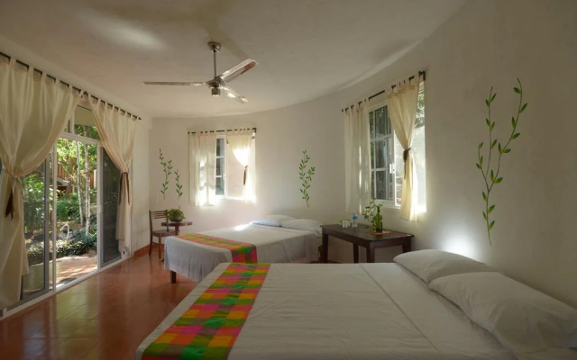 Eco-Hotel Nueva Altia