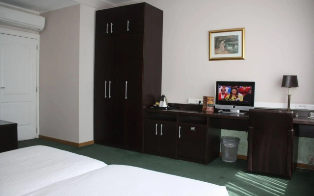 Hotel Plasky