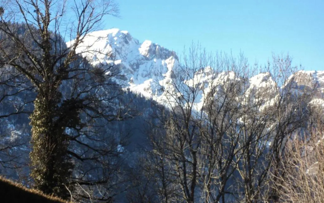 Les Tilleuls
