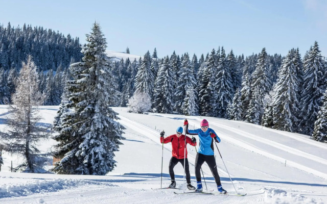 Schwarzwaldhaus Krebs - Peter Lustig, Lenzkirch, Feldberg