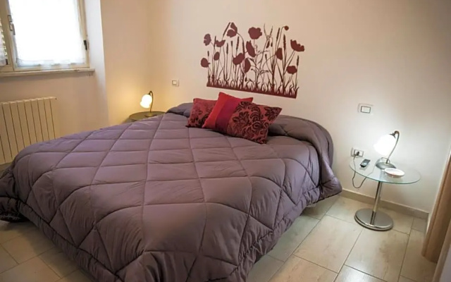 B&B Xenia