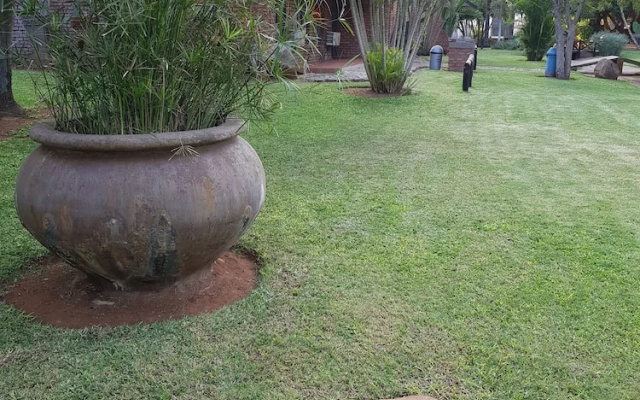 Baobab Chalets