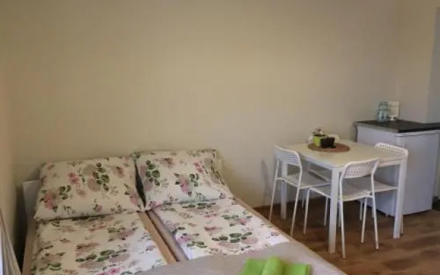 Willa Aleksandra - Apartamenty