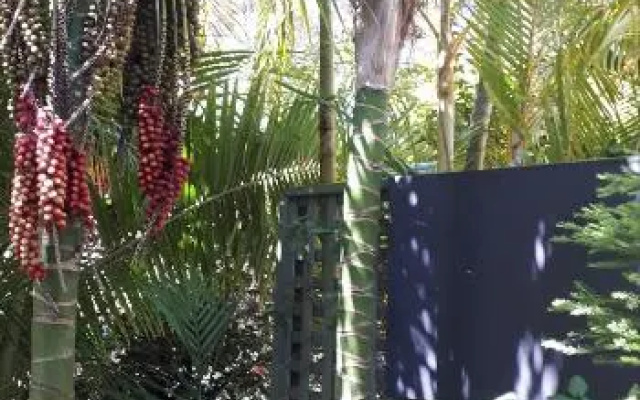 The Resort Villa-Apt - Tropical Oasis at Cronulla