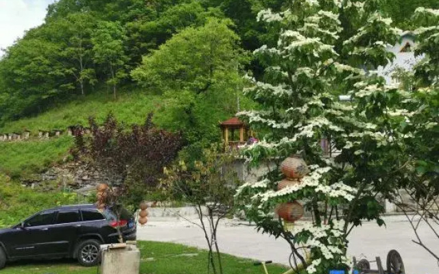 Shennongjia Bear Infestation Homestay