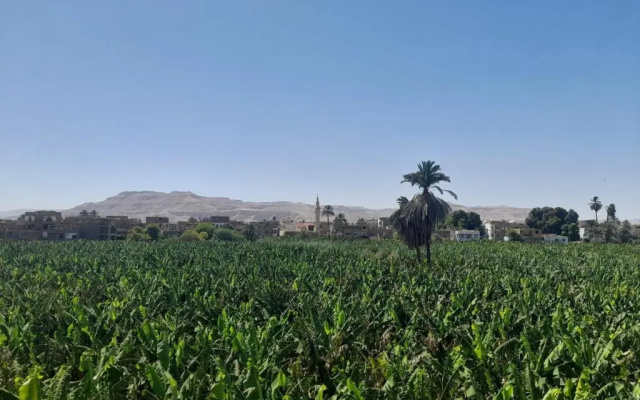 The 3 Bedroom Blue House On The Nile