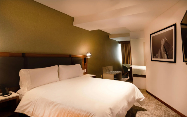 Hilton Garden Inn Mexico City Polanco