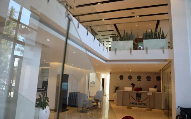 Hayes Hotel Addis Ababa