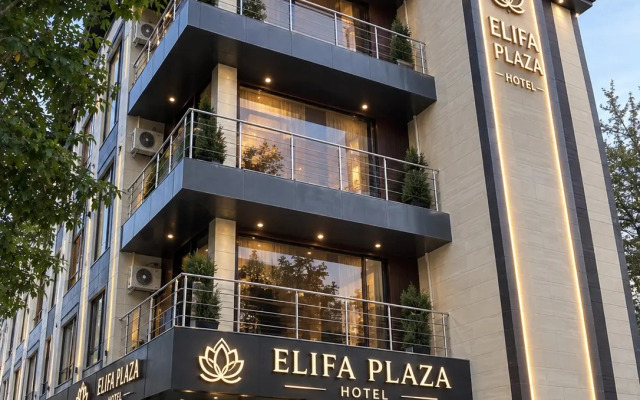 Отель Elif