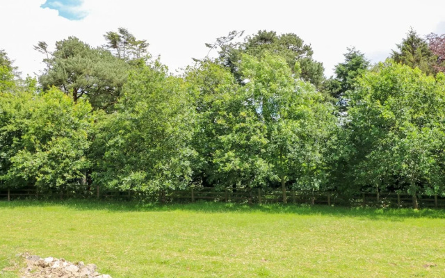The Old White Cottage