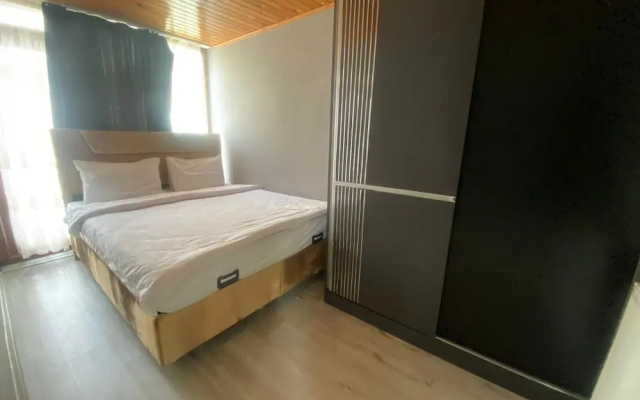 Novel Suite