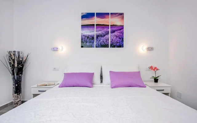 Apartment and Studio Tereza