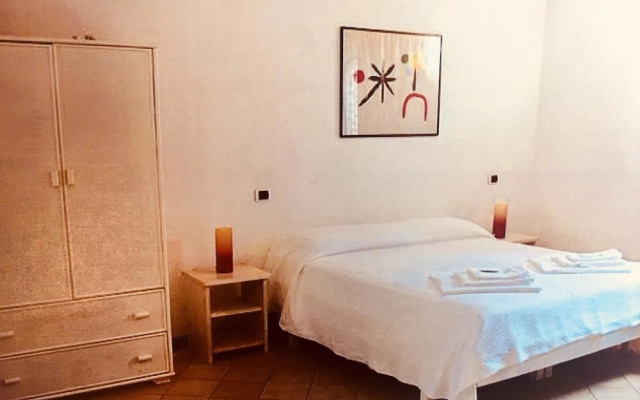 B&B Amphisya