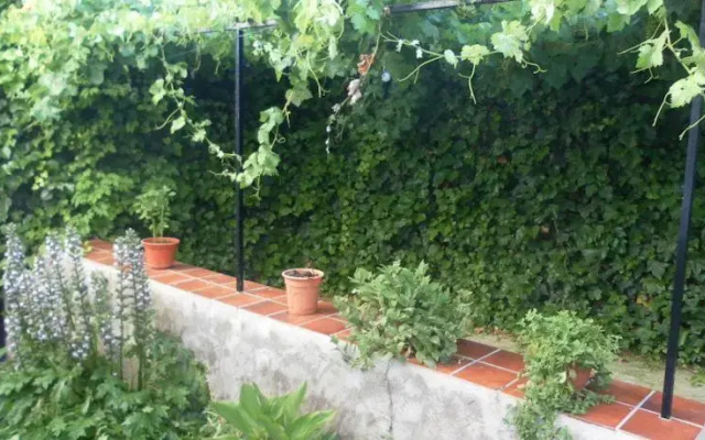 Casa Rural El Abejorro