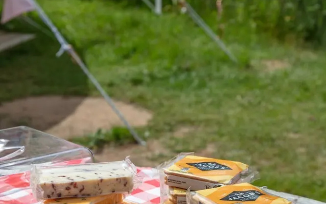 Lloyds Meadow Glamping