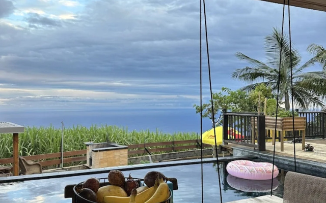 Dodo House