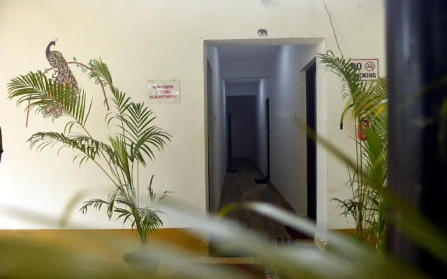 Seagull Tourist Guest House