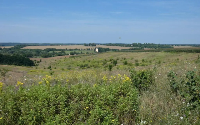 Csillagos Ég