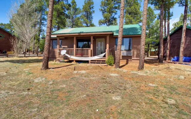 16 Mi to Sitgreaves: Overgaard Cabin w/ Porch