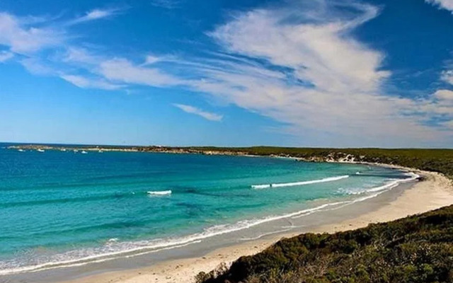 Seal Bay Cottages
