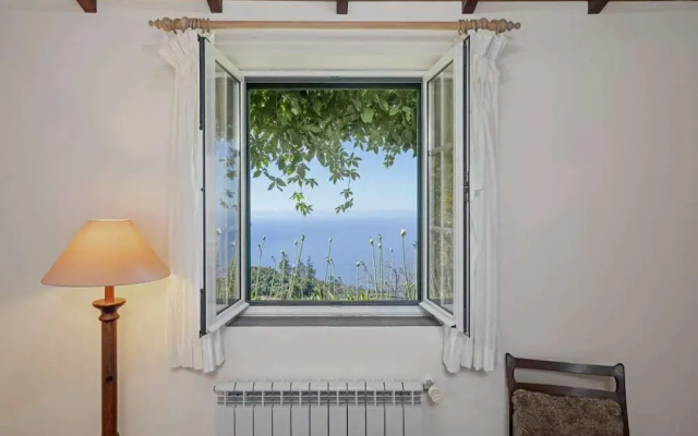 Quinta Devónia