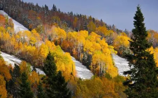 Les Bouleaux - Les Chalets Spa Canada
