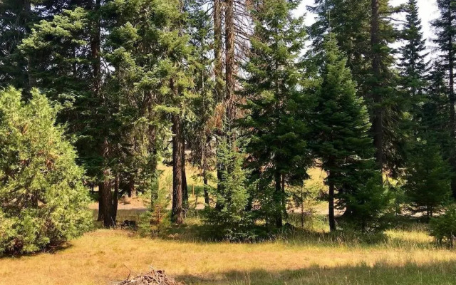 Whispering Pines Cabin Retreat