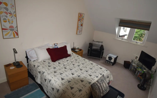 Central Kendal Deluxe