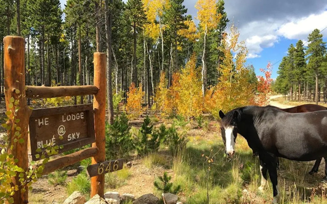 Blue Sky Mountain Ranch