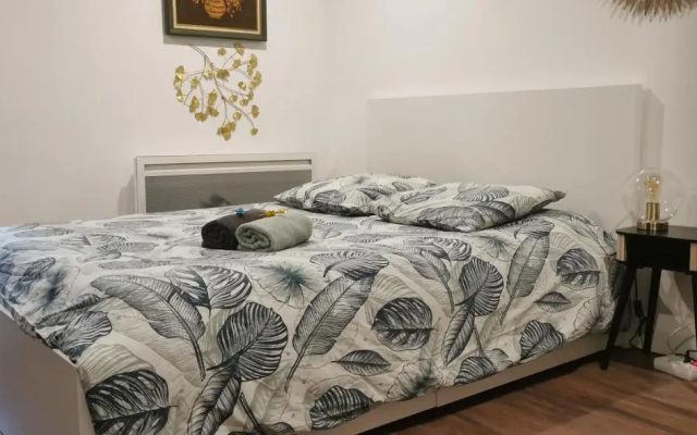 Green Cellar Logement neuf au Centre de Strasbourg
