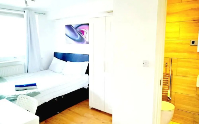 Lovely and Spacious House in South London