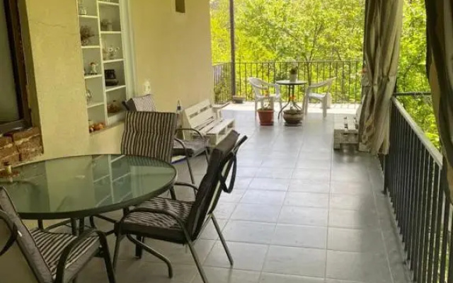 Guest house Sarajishvilze