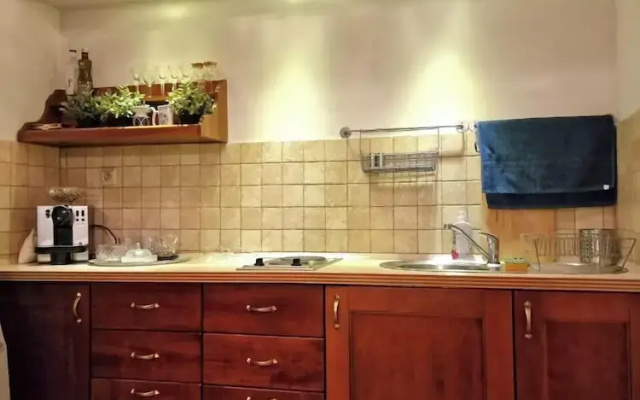 Apartment in the city center