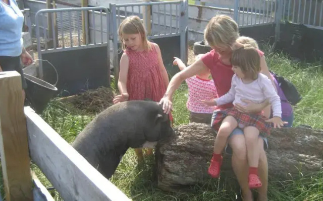 Fuglsang Farm Holiday