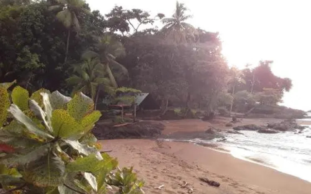 Corcovado Jungle Hostel