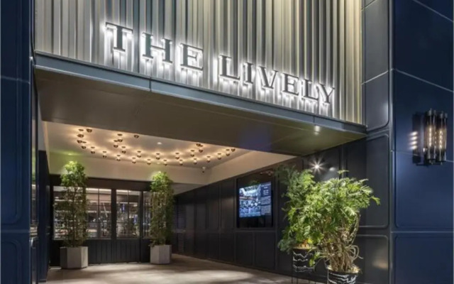 THE LIVELY HAKATA FUKUOKA - Vacation STAY 82650