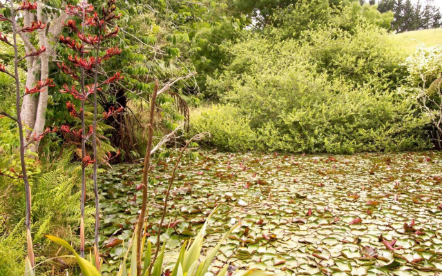 Hunua Homestead