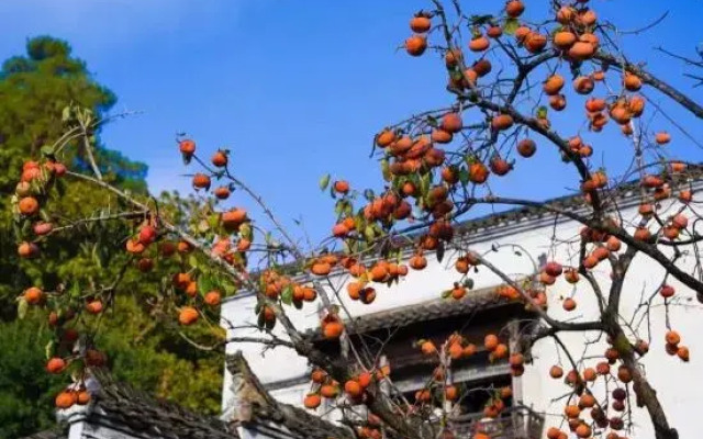Yunman Meisu Hotel