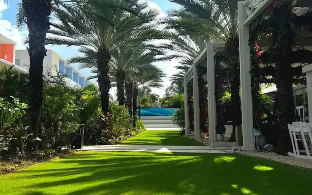The Grove