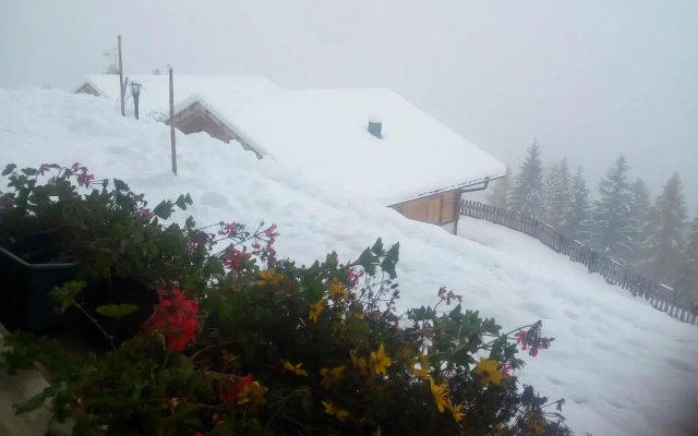 Chalet Niederhaushof