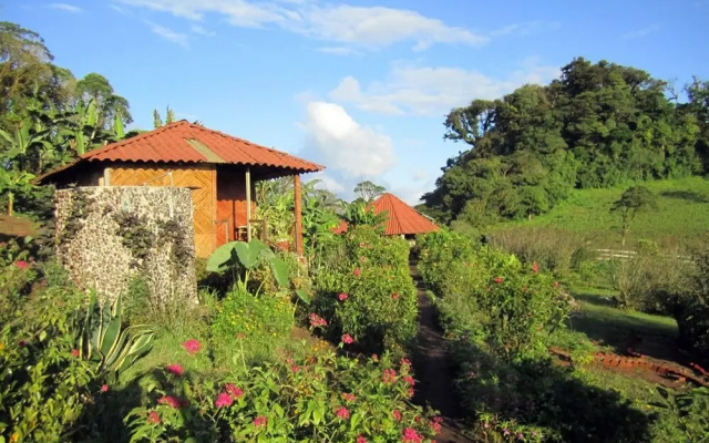 Finca Neblina del Bosque