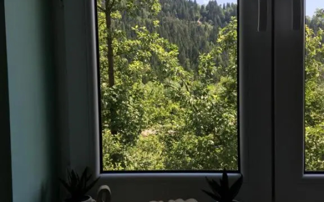 Pokoje Gościnne Pod Jaworem