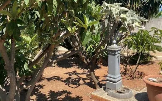 CIURIDIBONAGIA2