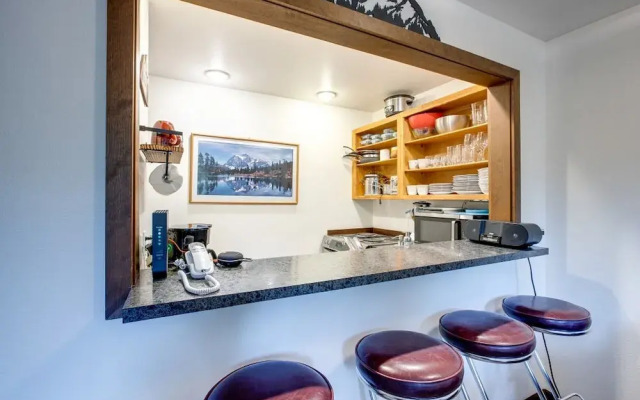 Mt Baker Lodging Condo 06 - Sleeps 5