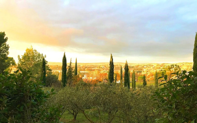 The Provence Experience