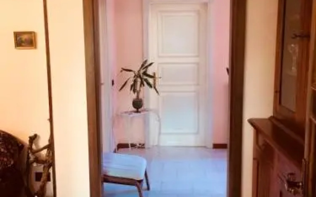 Il girasole
