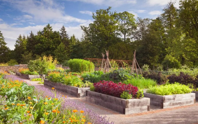 Rudding Park