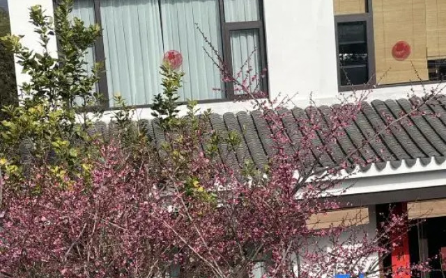Ninghai  Qiantong Zhu Li Ya She Homestay guesthouse
